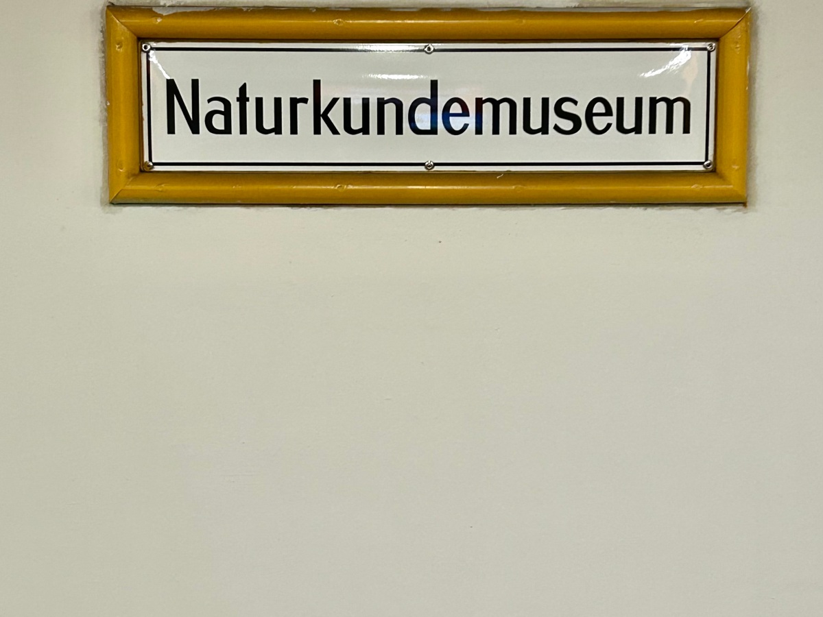 U-Bahn Naturkundemuseum: Best places around